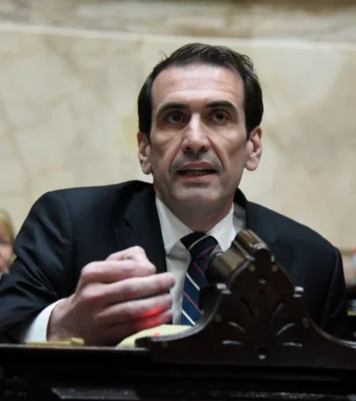 Diputado nacional por Neuquén Pablo Cervi. (Imagen: archivo web)