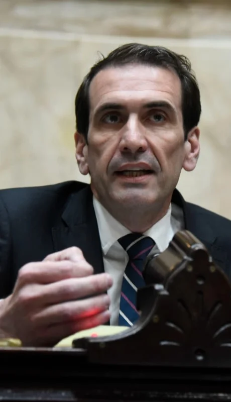 Diputado nacional por Neuquén Pablo Cervi. (Imagen: archivo web)