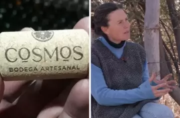 De ovejas rebeldes a etiquetas de vino: la historia única de Finca Cosmos