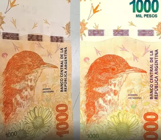 Billetes de mil pesos fallados: el de la izquierda no está el número que luce verde y cambia hacia el azul.