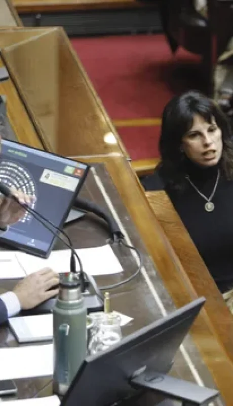 Los gritos de las diputadas luego de la jura del diputado Giordano/