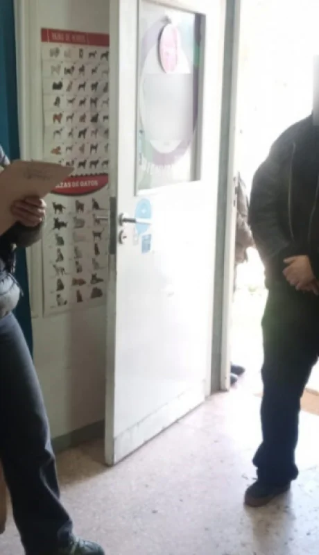 Momento en el que personal de la Gendarmería Nacional Argentina completaba el allanamiento a dos veterinarias donde habían medicamentos para personas.