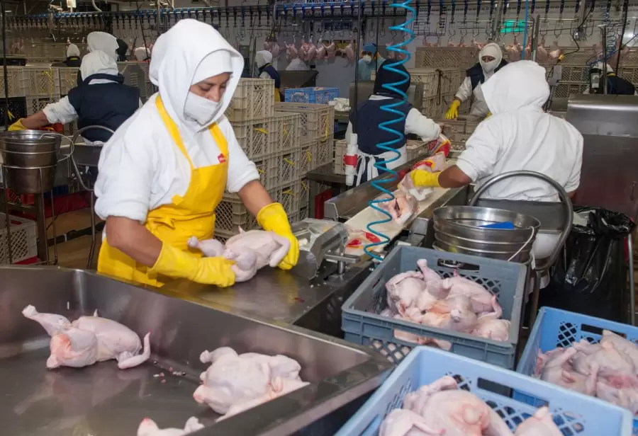 Distintos niveles de producción