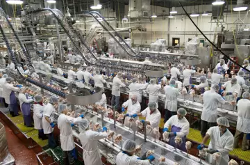 Sorprendentes cifras para la economía otorga la avicultura