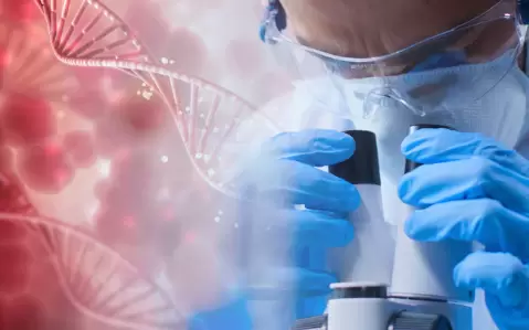 Dado el creciente potencial del sistema CRISPR/Cas el campo de aplicación es amplio.