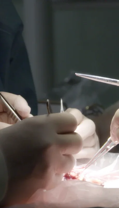 Conocé la emocionante historia de Vicky, la bebé que se salvó por el amor