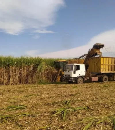 Rechazo de azucareros a política de Brasil./