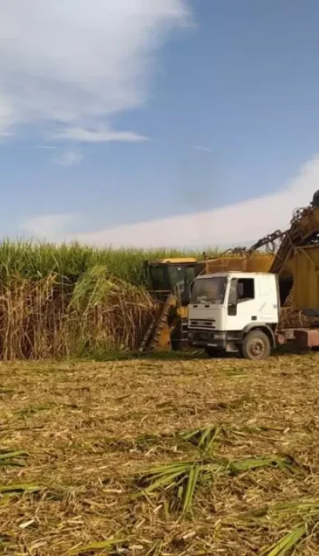 Rechazo de azucareros a política de Brasil./