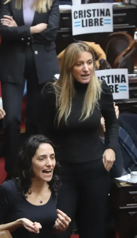 Formas de expresarse en el Congreso. /