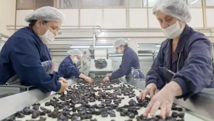 Industria agroalimentaria