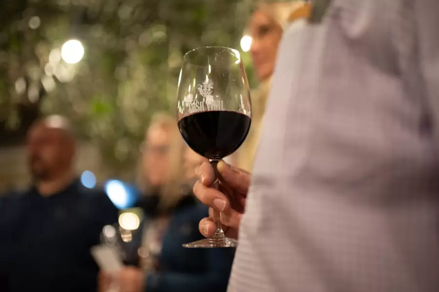 Vino y turismo en Mendoza.