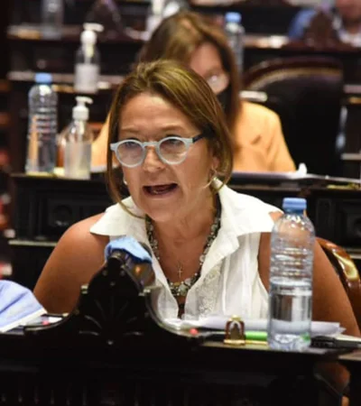 Marcela Campagnoli es diputada nacional por Buenos Aires (CC) - Foto: archivo web
