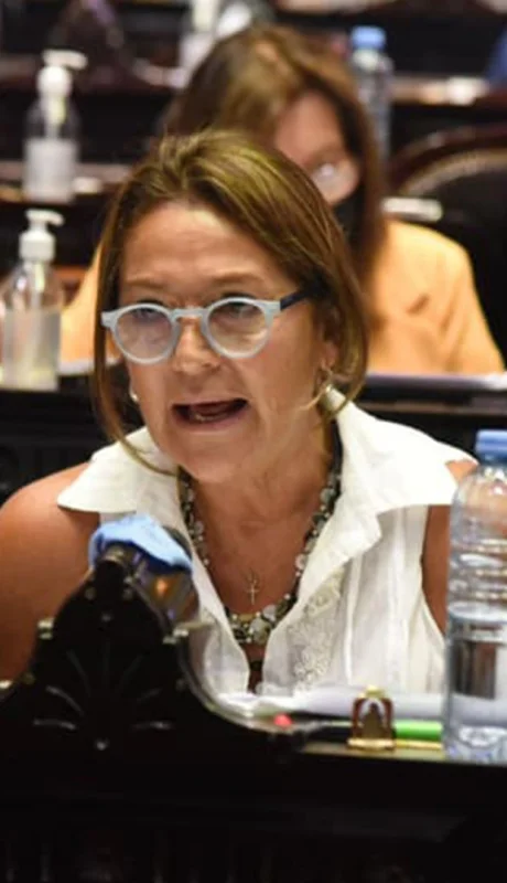 Marcela Campagnoli es diputada nacional por Buenos Aires (CC) - Foto: archivo web