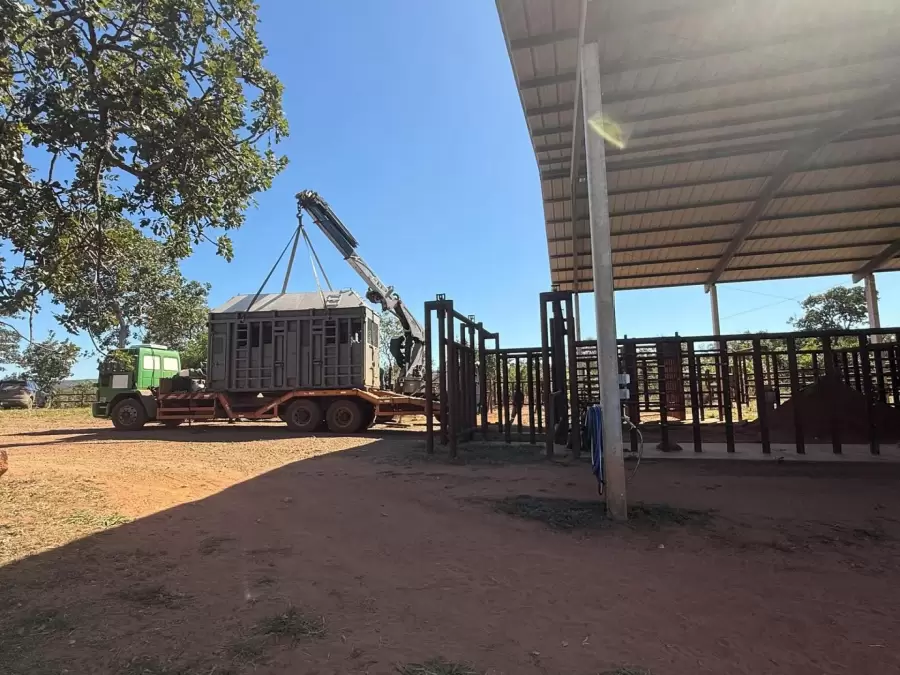 Tras vivir 40 años en cautiverio, la elefanta Kenya llegó al Santuario en Brasil/ Fuente: Jimena Latorre