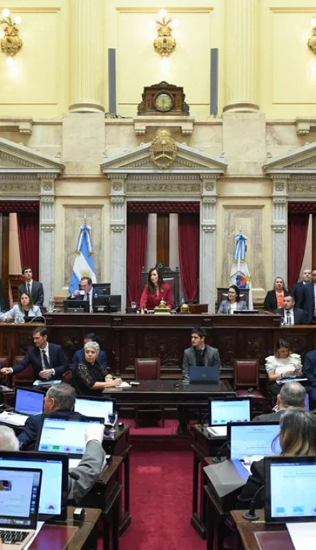 Durísima sesión en el Senado