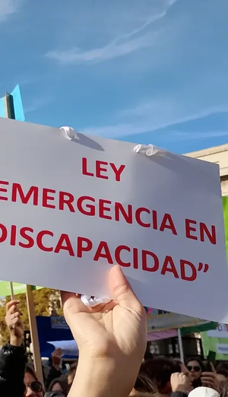 La iniciativa sobre discapacidad, vetada por Milei, necesitará el respaldo de dos tercios en la Cámara alta.