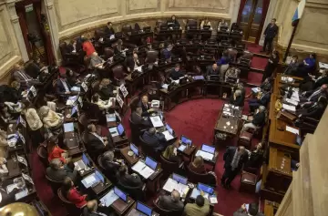 Gobernadores vs. Milei: aprobaron reparto de ATN y del impuesto a los combustibles