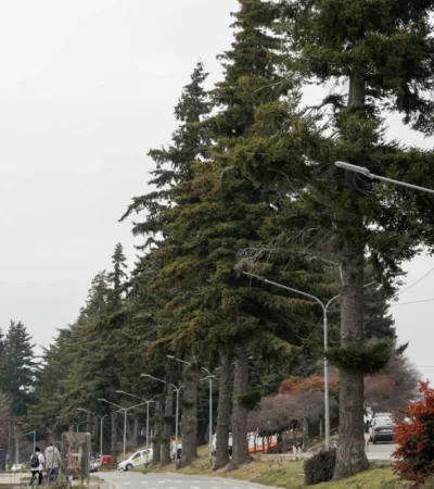 La decisión final la tendrán los vecinos el próximo 9 de noviembre.