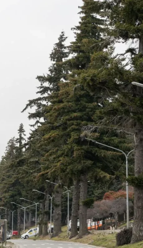 La decisión final la tendrán los vecinos el próximo 9 de noviembre.