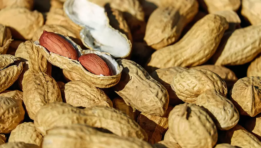 Una de las opciones de maní/ Fuente: Web