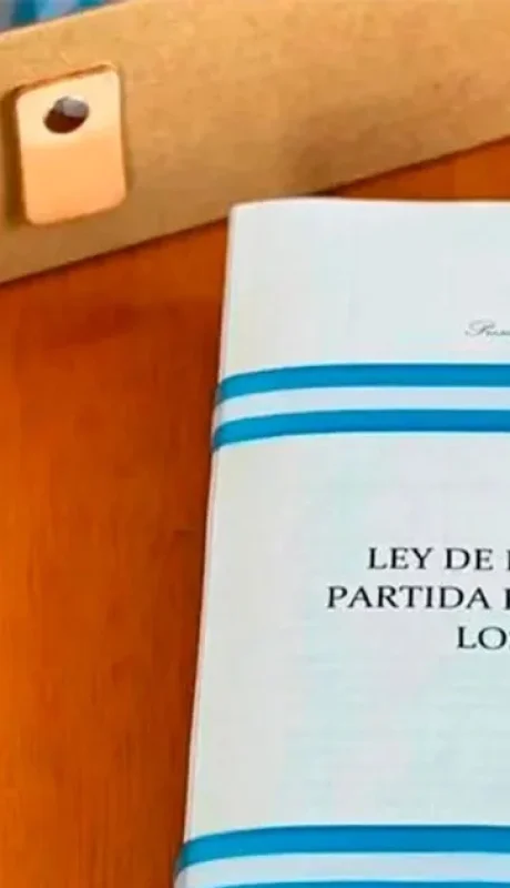 La ley que otorgó las facultades delegadas.