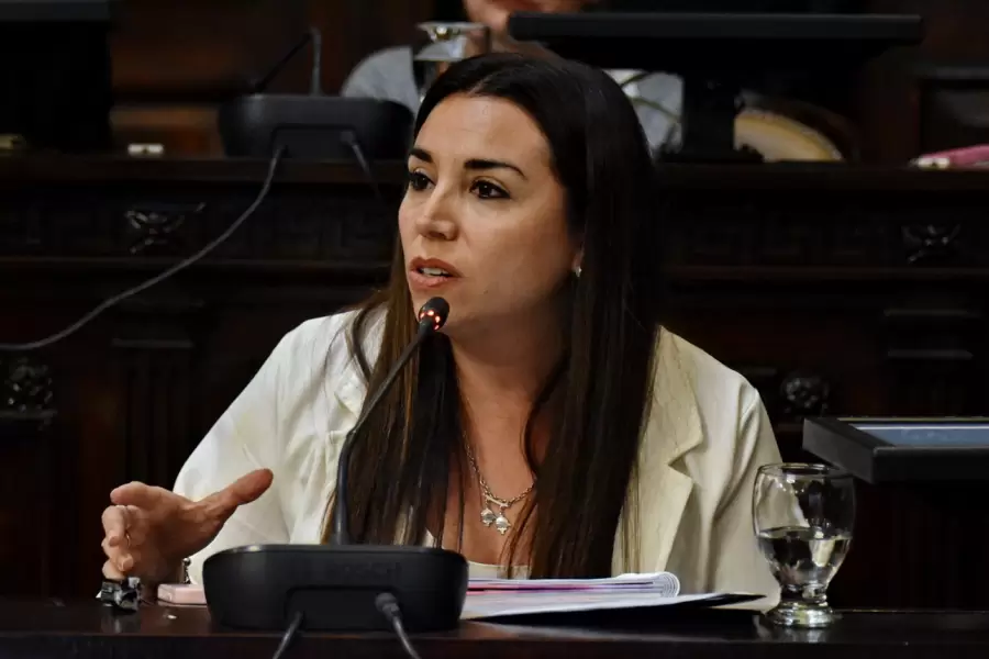 Diputada Cintia Gómez (PRO - LAUM).