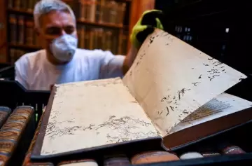 Libros en peligro: una plaga de escarabajos amenaza la biblioteca más antigua de Hungría
