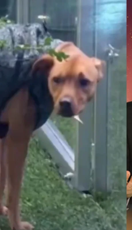 El insólito juego de Guido Kaczka que desató la polémica.