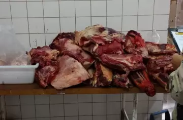 Alerta sanitaria en Las Heras: fuerte decomiso de carne enciende las alarmas