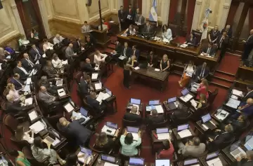 Senado: el peronismo buscará firmar el dictamen de emergencia del Garrahan