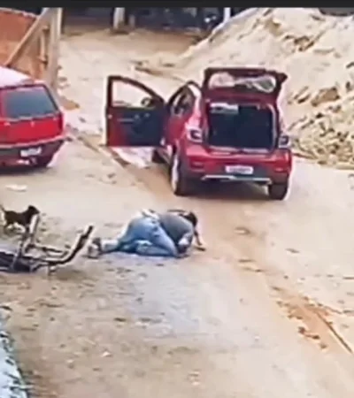 Un hombre se enfrenta a un pitbull.