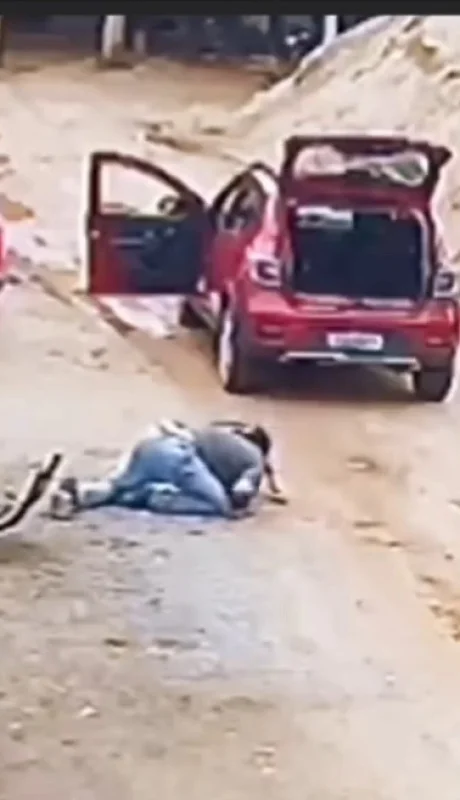 Un hombre se enfrenta a un pitbull.