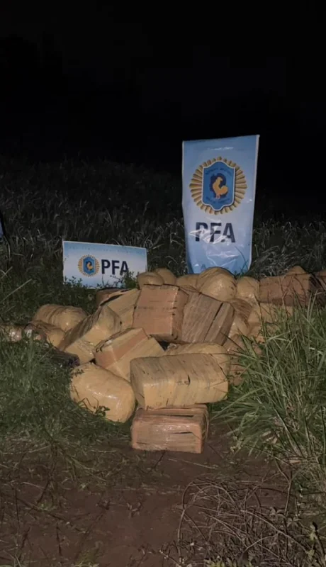 Gentileza de las imágenes: PFA.