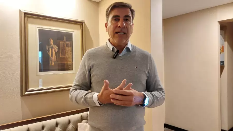 Abogado y titular del Partido Verde, Mario Vadillo.