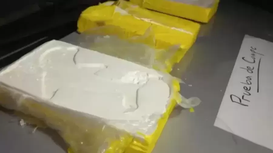 El operativo que detectó la droga tuvo lugar a fines de 2024. Una mujer resultó detenida.