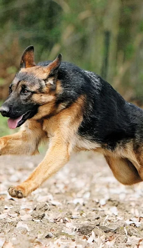 Imagen ilustrativa (archivo web)