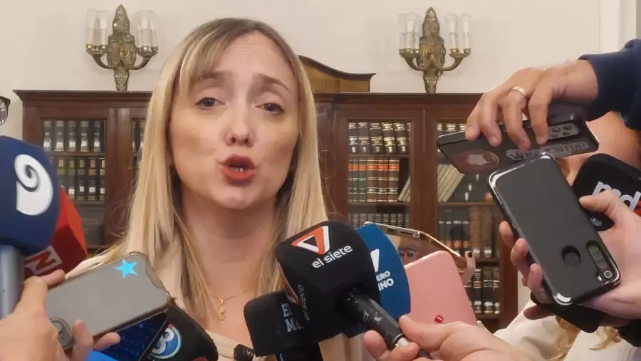 Senadora Nacional Anabel Fernández Sagasti.