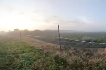 Conmoción por el hallazgo sin vida de un nene desaparecido mientras jugaba