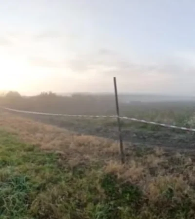 Lugar donde fue encontrado el cuerpo del nene de 2 años en La Plata/ Fuente: X