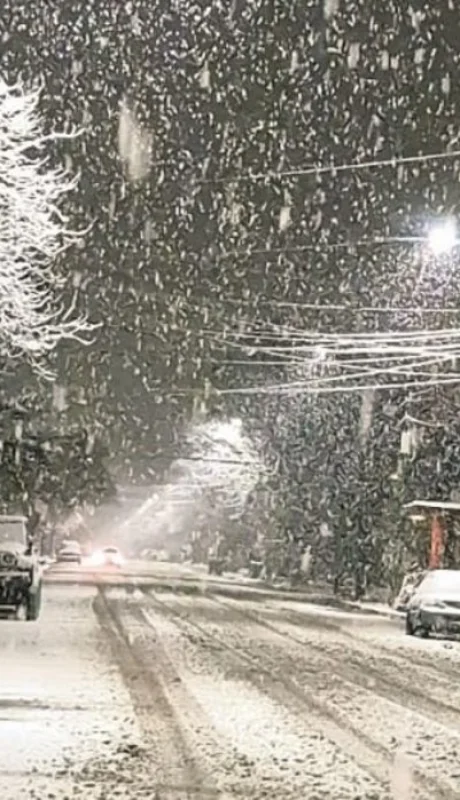 Nieve San Martin de Los Andes.