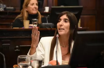 Desde la UCR responden a la denuncia de Anabel Fernández Sagasti contra Cornejo