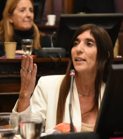 Senadora Natacha Eisenchlas