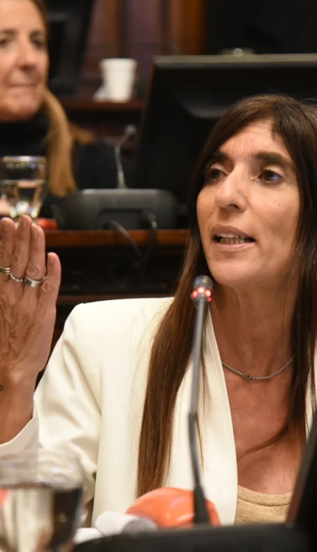 Senadora Natacha Eisenchlas