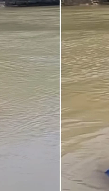 Un compañero de Frazao comentó que tal vez podía tratarse de un pez. El resultado fue más escalofriante.