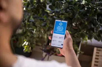 Paso a paso: cómo sacar la constancia de CUIL desde el celular