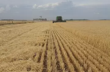 Federico Glustein: "No tenemos un modelo de desarrollo de mediano y largo plazo"