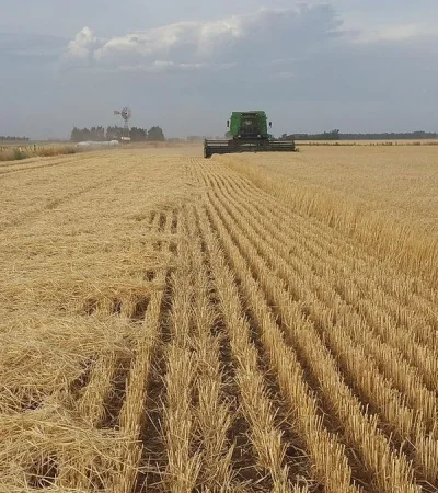 Imagen ilustrativa: archivo web