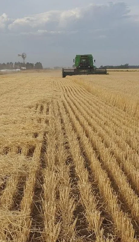 Imagen ilustrativa: archivo web