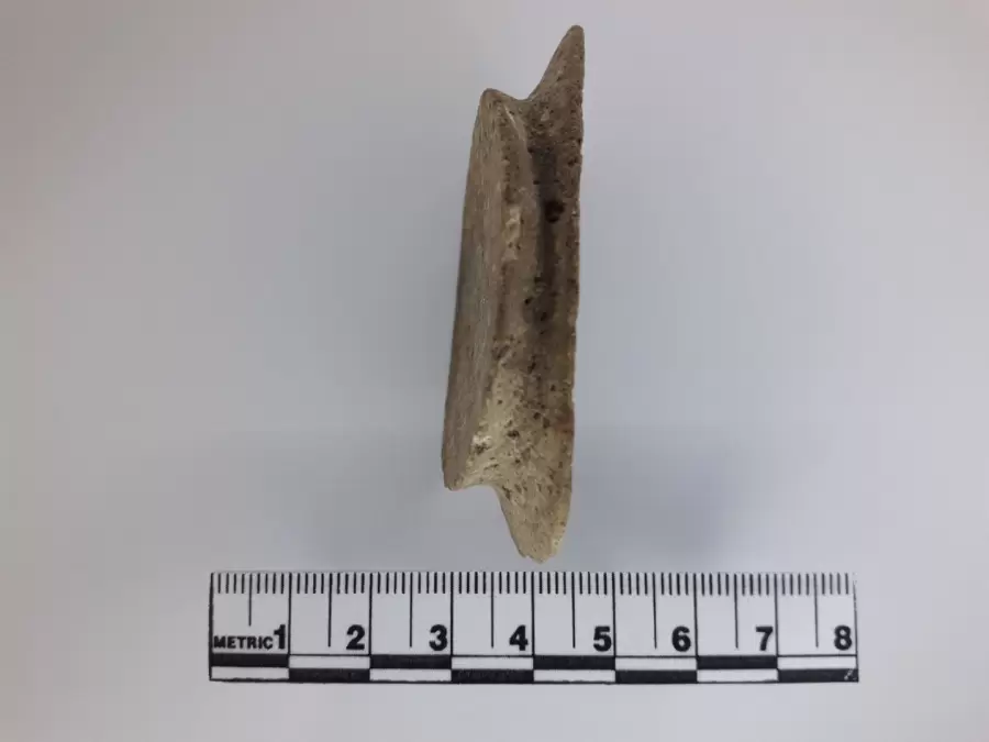 Pieza única. Museo regional Jorge Luna. Malargüe.