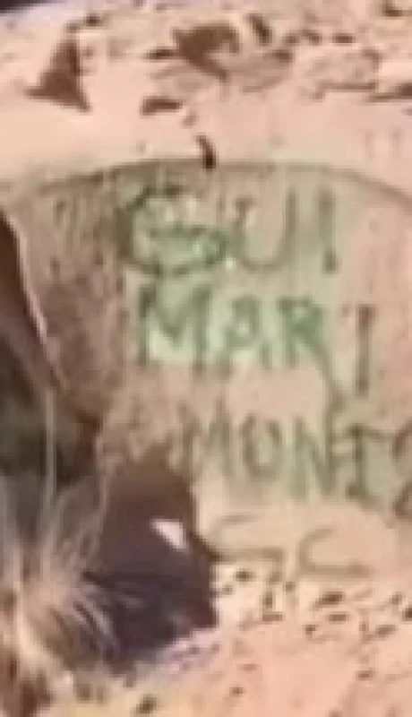 Se trata de cinco turistas que pintaron piedras en el Dique Potrerillos y fueron filmados en un video que se hizo viral.